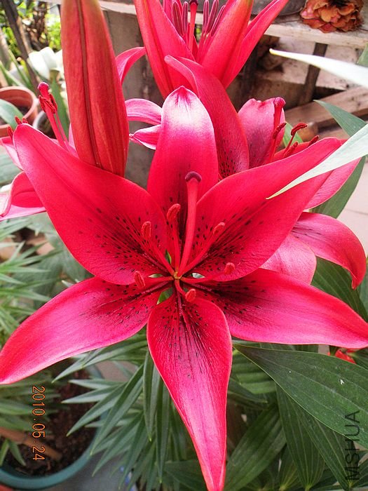 5.JPG