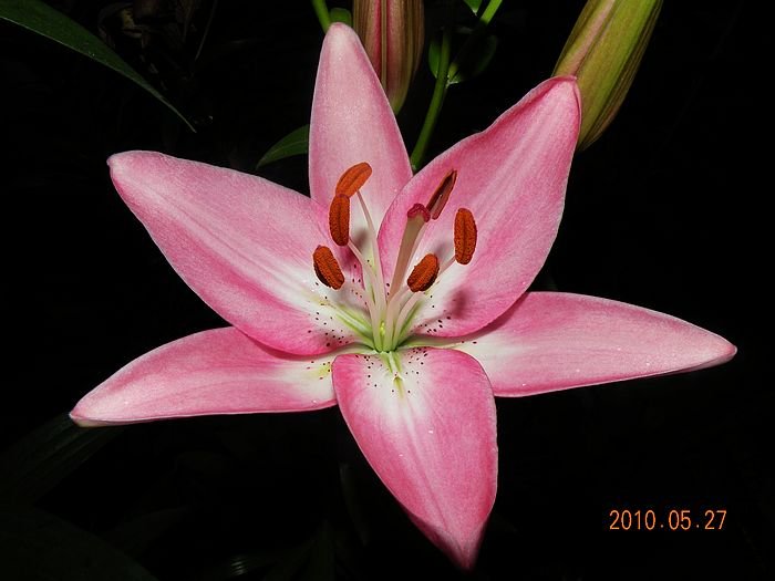 DSCN2923.JPG