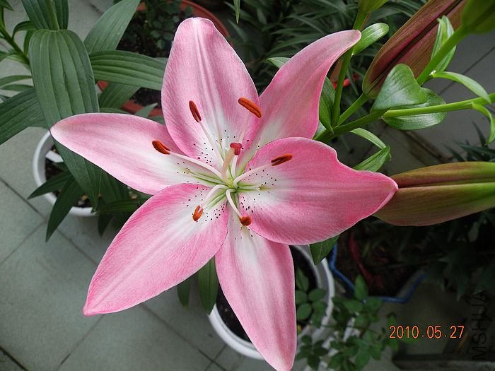DSCN2948.JPG