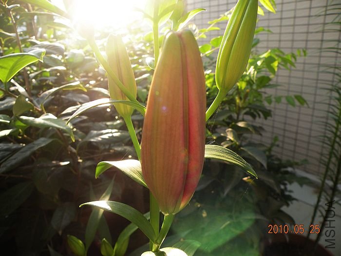 DSCN2912.JPG