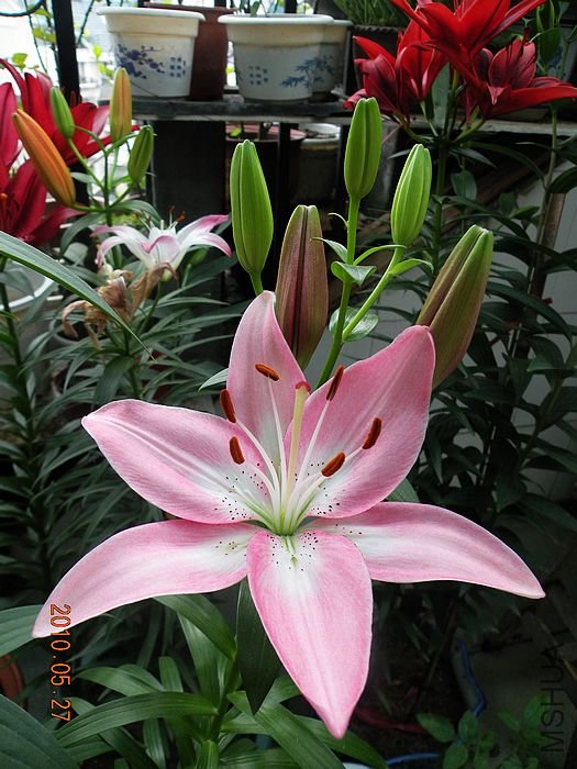 DSCN2947.JPG