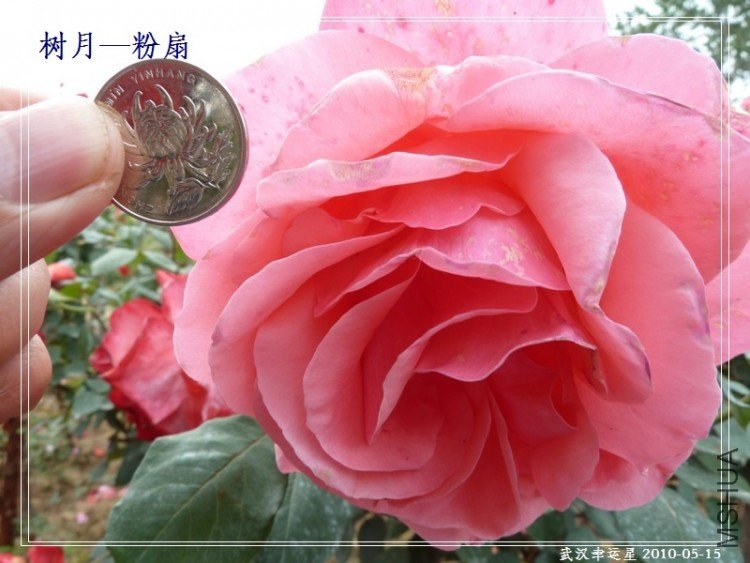P1000056-1.jpg