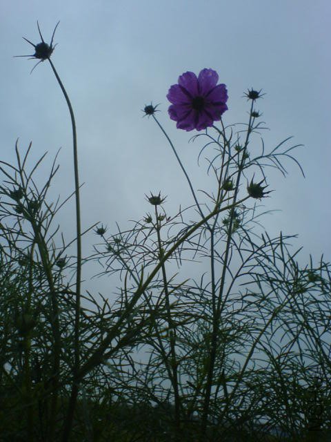 DSC03814.JPG