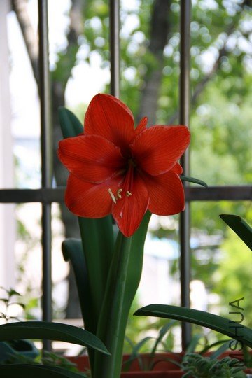 201005�춥�� 002��.jpg
