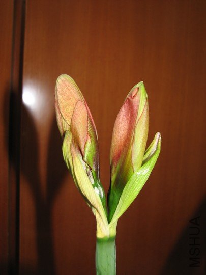 20100527�� 007��.jpg