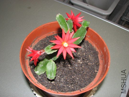 20100527�� 017��.jpg