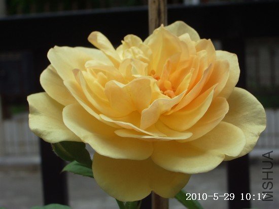 IMGP9702.JPG