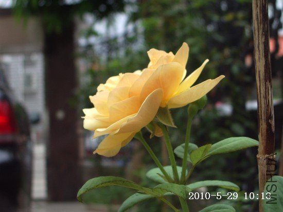 IMGP9705.JPG