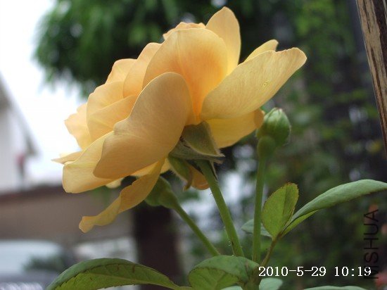 IMGP9709.JPG