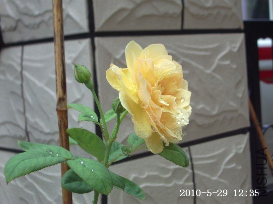 IMGP9732.JPG