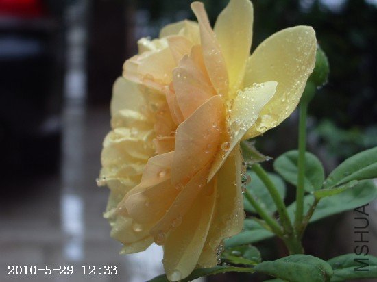 IMGP9718.JPG