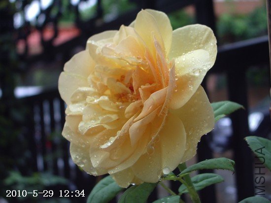 IMGP9722.JPG