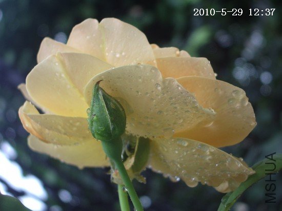IMGP9738.JPG