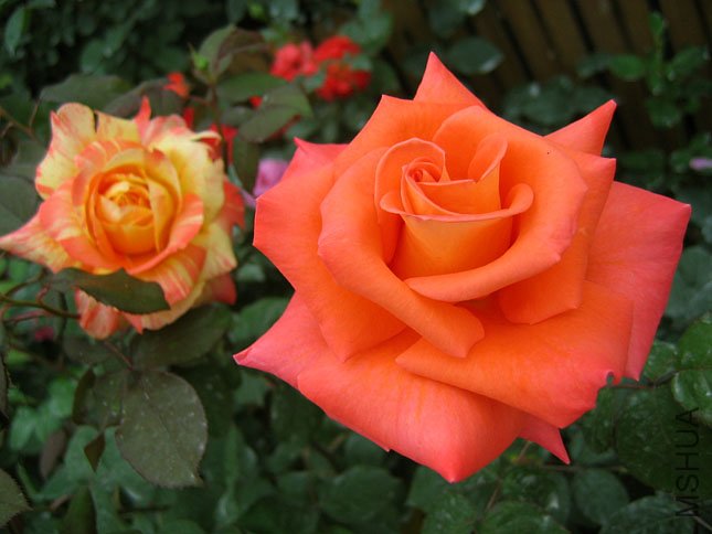 �¼����� (1).JPG