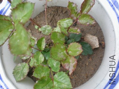 P1010006.JPG