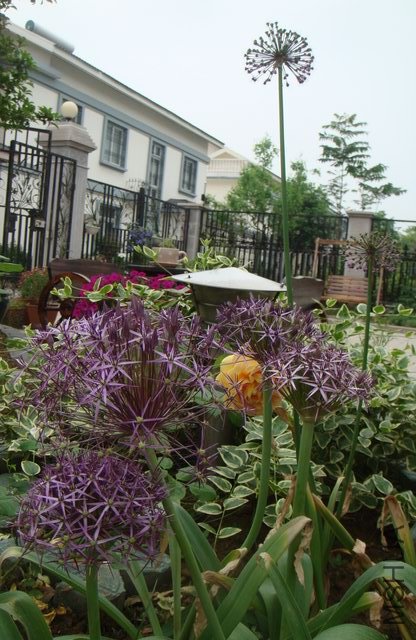 ��ת ������С DSC05946.JPG