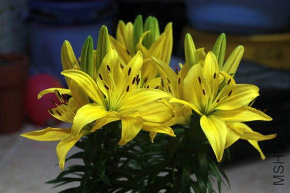 20100529 076.jpg