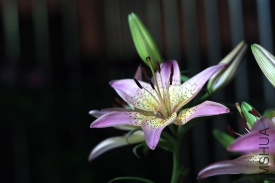 20100529 120.jpg