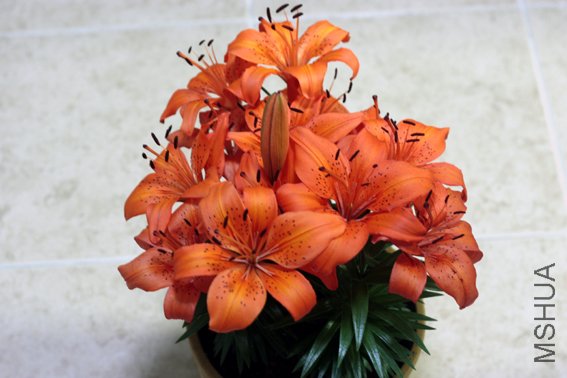 20100529 083.jpg