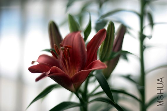 20100529 540.jpg