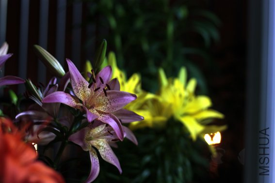 20100529 187.jpg