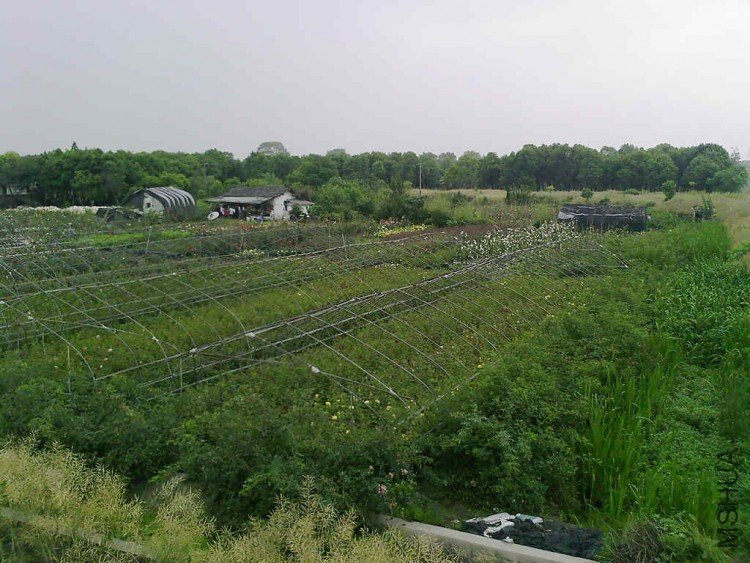 ��Ƭ-0035.jpg