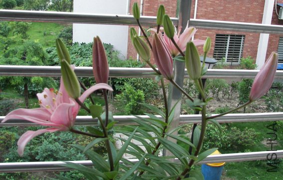 100_3692.jpg