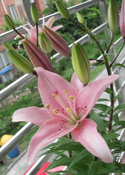 100_3695.jpg