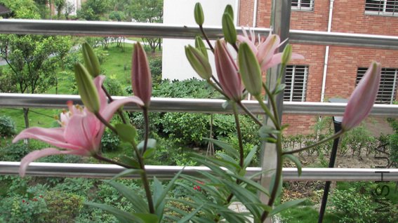 100_3697.jpg