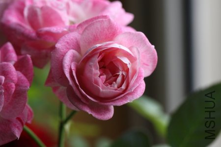IMG_5555.JPG