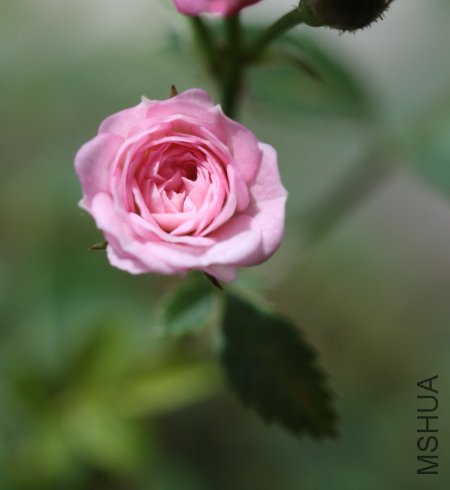 IMG_6188.JPG