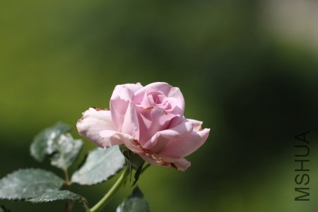 IMG_6384.JPG