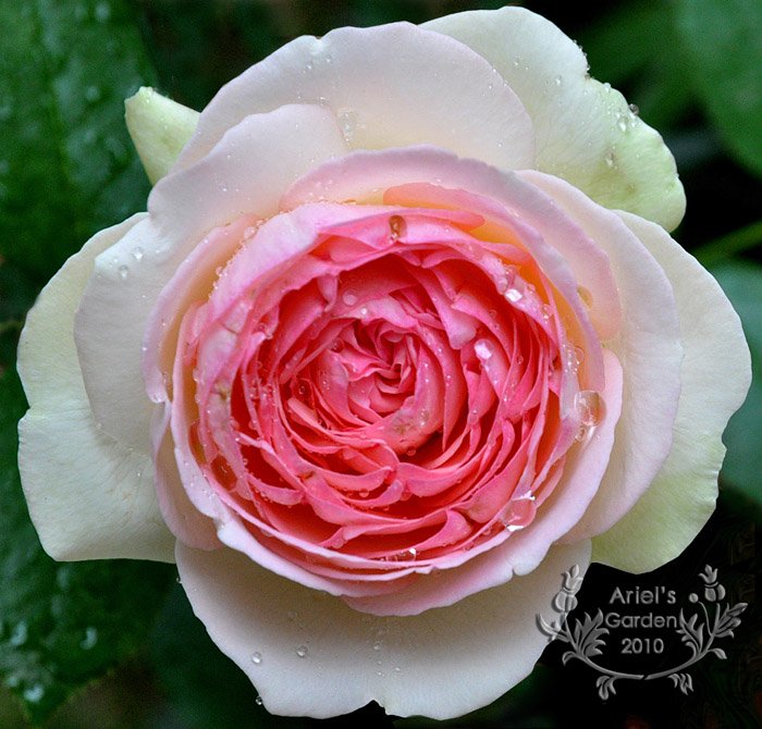 DSC_6322.jpg
