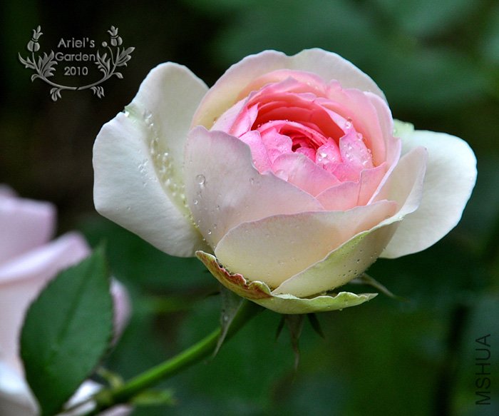 DSC_6329.jpg