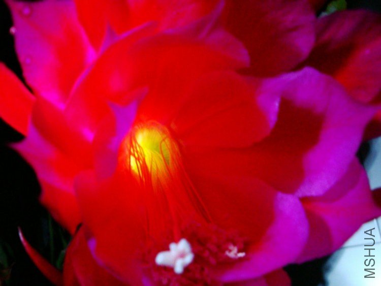 DSC03403.jpg