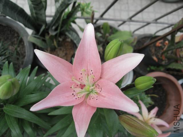 ������С 6.2 004.jpg