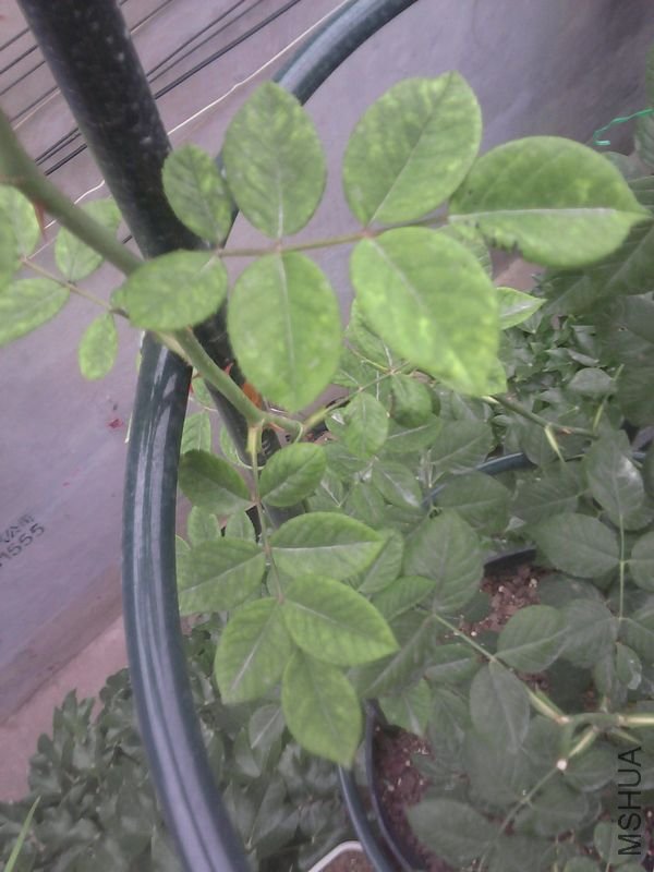 P01-06-10_18.221.jpg