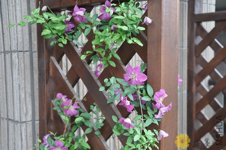 nEO_IMG_��Ƭ 002.jpg