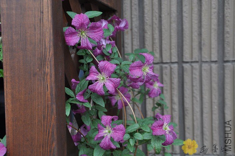 nEO_IMG_��Ƭ 001.jpg