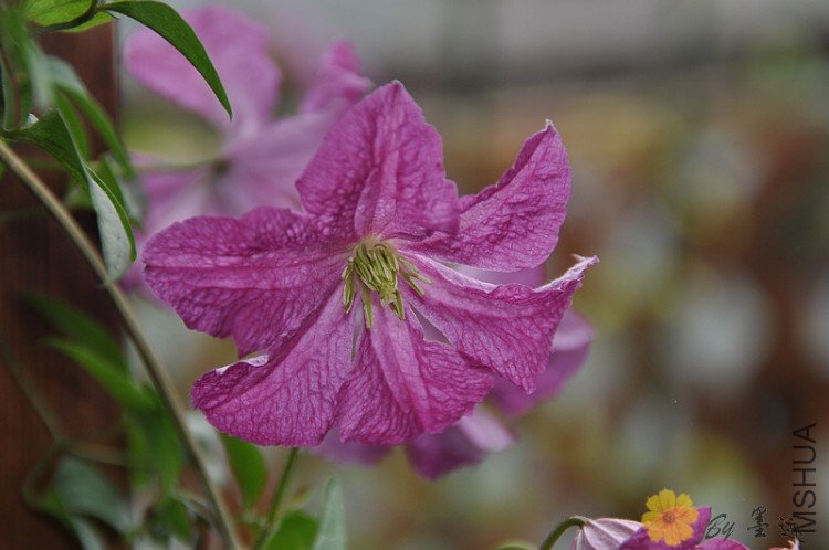 nEO_IMG_��Ƭ 028.jpg