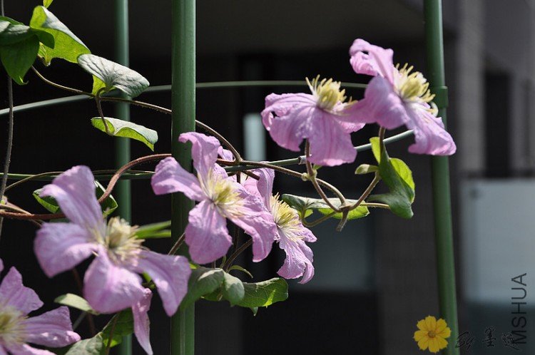 nEO_IMG_��Ƭ 235.jpg