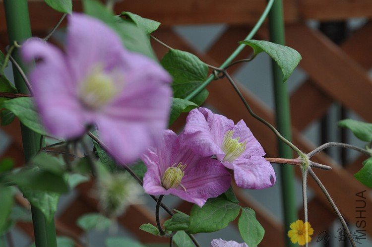 nEO_IMG_��Ƭ 021.jpg