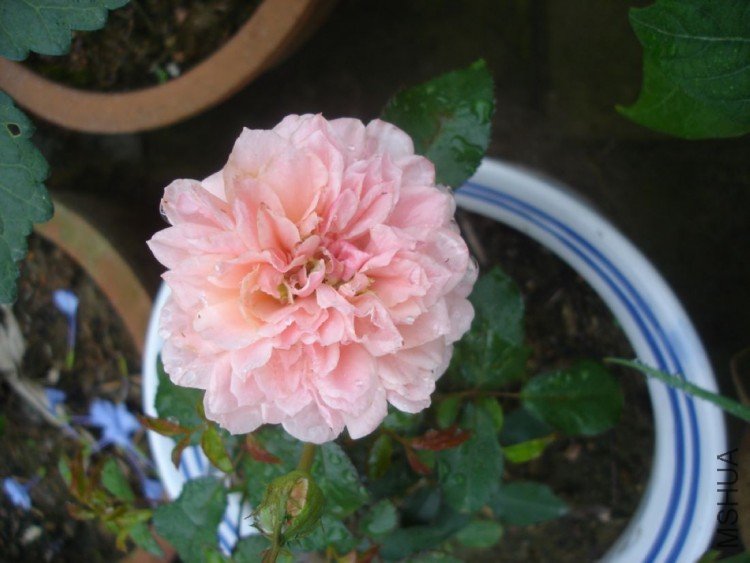 DSC01581.JPG