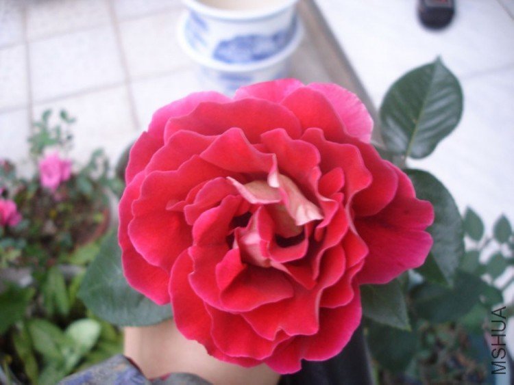 DSC01382.JPG