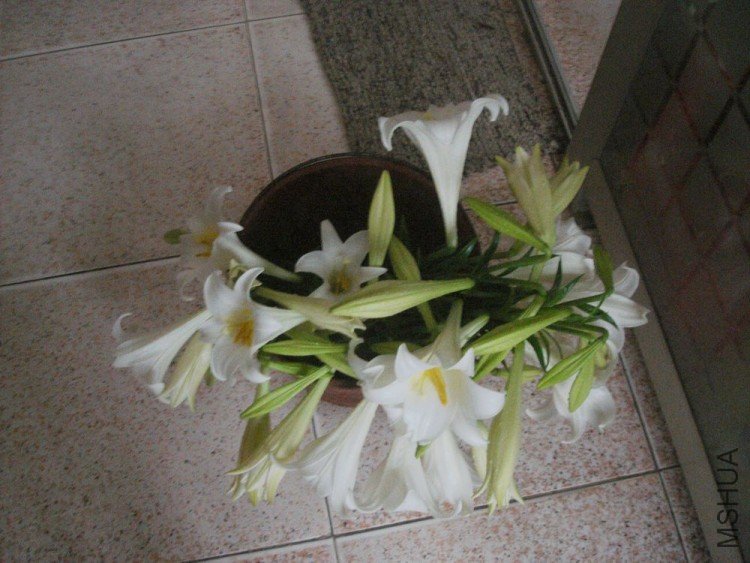 DSC01320.JPG