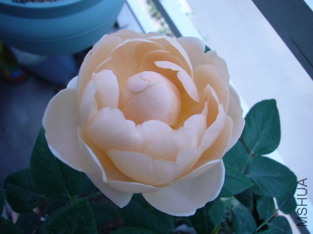 P1060925.JPG