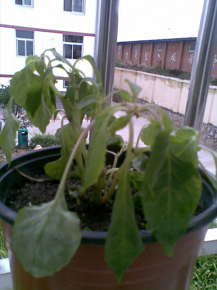 20100602(010).jpg