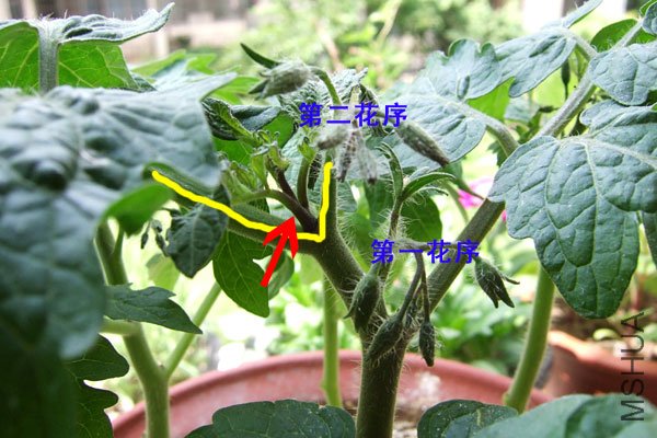 ssDSCF2797.jpg