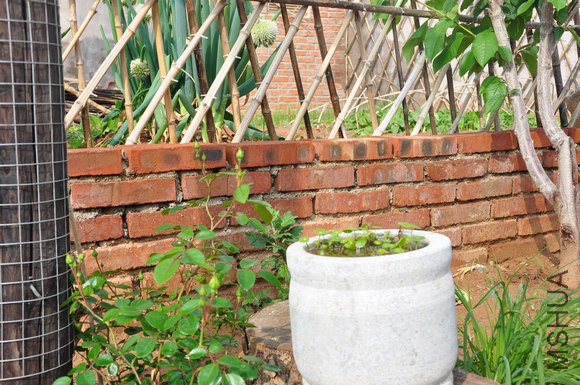 4444 23466698989tie 026.jpg