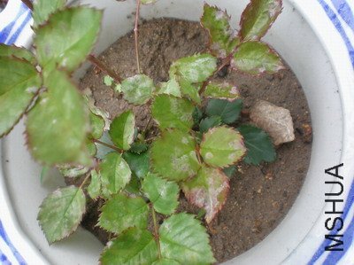 P1010006.JPG